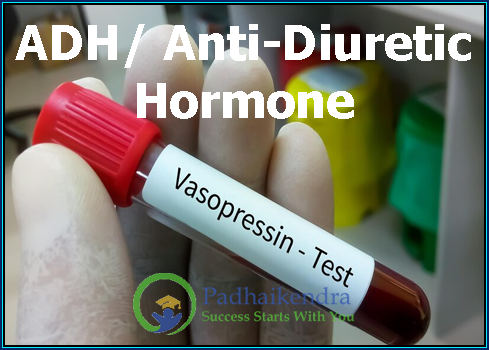 ADH Anti-Diuretic Hormone