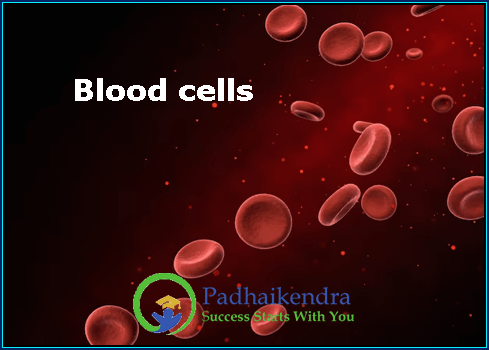 Blood cells