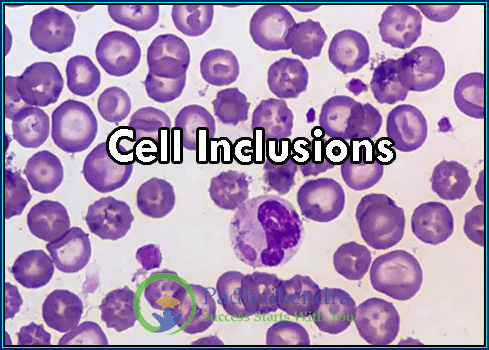 Cell Inclusions