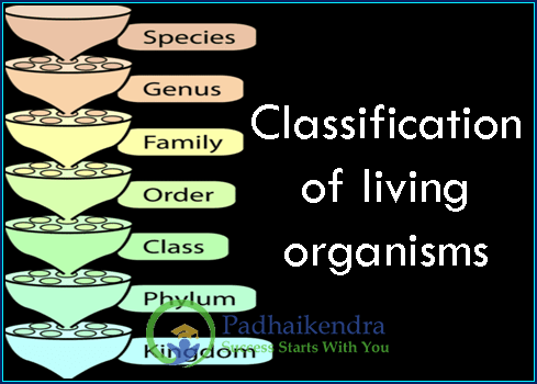 Classification of living organisms