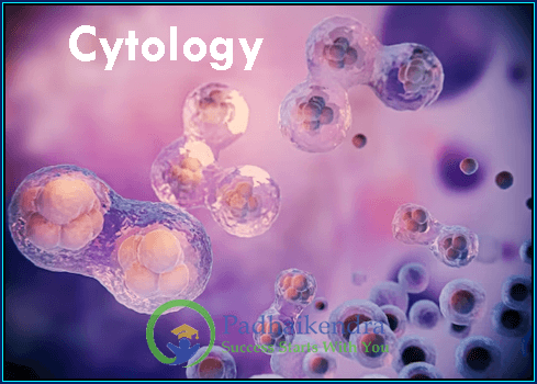 Cytology