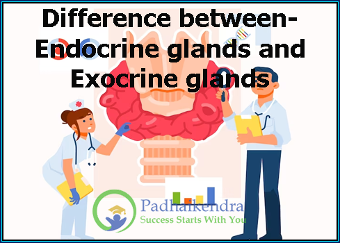 Difference between- Endocrine glands and Exocrine glands