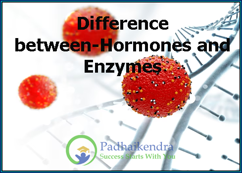 Difference between-Hormones and Enzymes