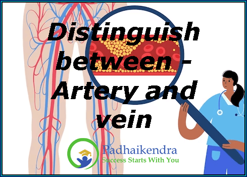Distinguish between - Artery and vein