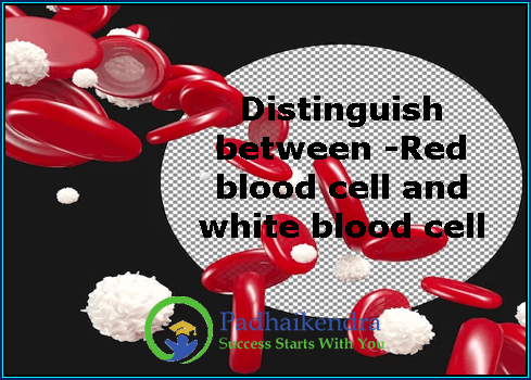 Distinguish between -Red blood cell and white blood cell