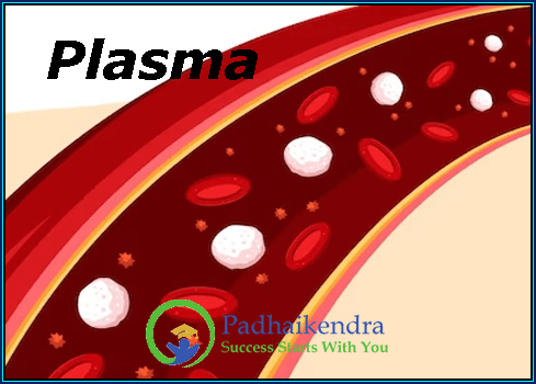 Plasma