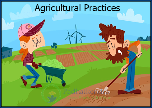 Agriculture & Agricultural Practices