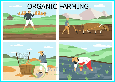 Introduction to Agriculture and Basic Method of Organic Farming
