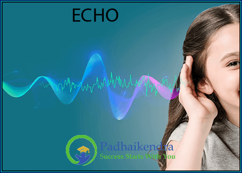 Echo