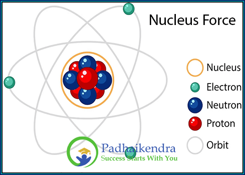 Nucleus Force